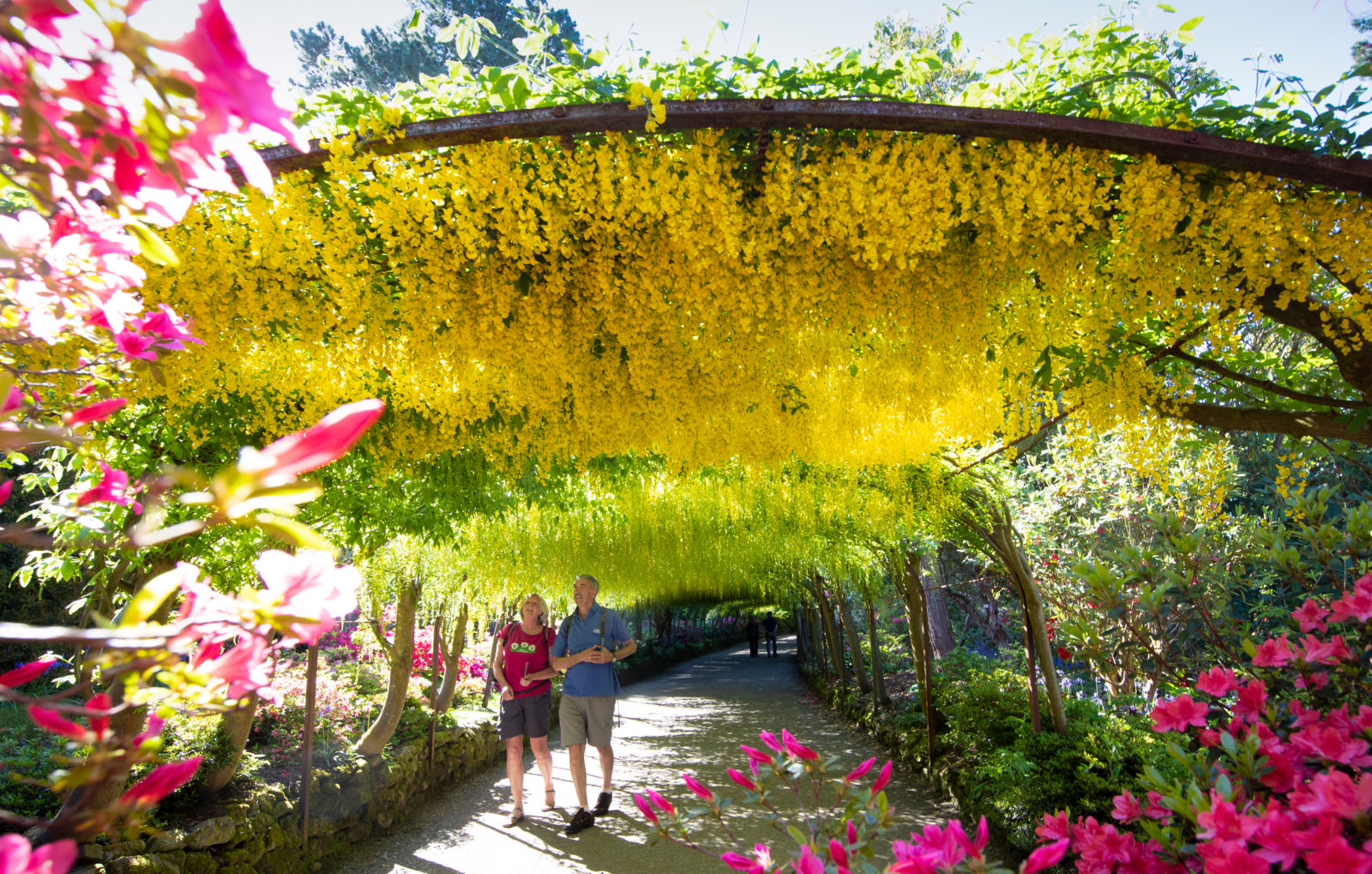 Bodnant Gardens & Snowdonia Scenic Tour via Betws Y Coed