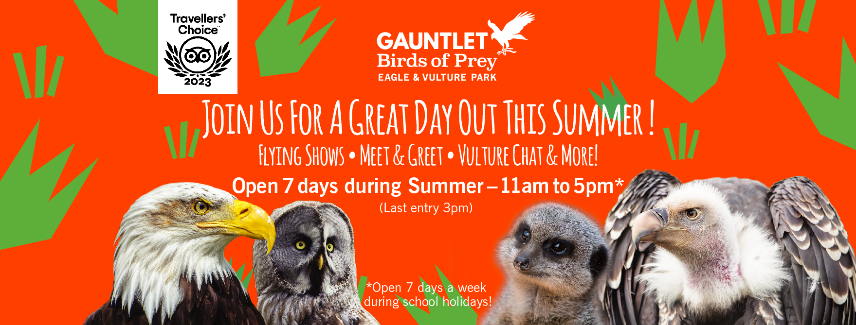 Gauntlet Bird of Prey Park Knutsford