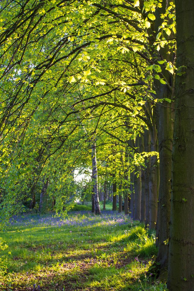 Lovell Quinta Arboretum & Okells Garden Centre