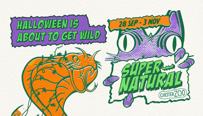 Chester Zoo Halloween Special