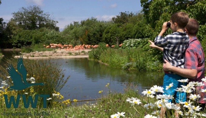 Ormskirk Market with a visit to Martin Mere Wetland Centre