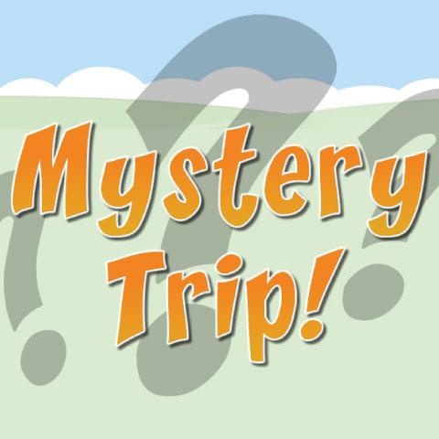 Family Mystery Trip