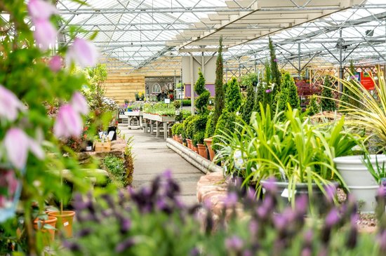 Lovell Quinta Arboretum & Okell's Garden Centre & Farm Shop