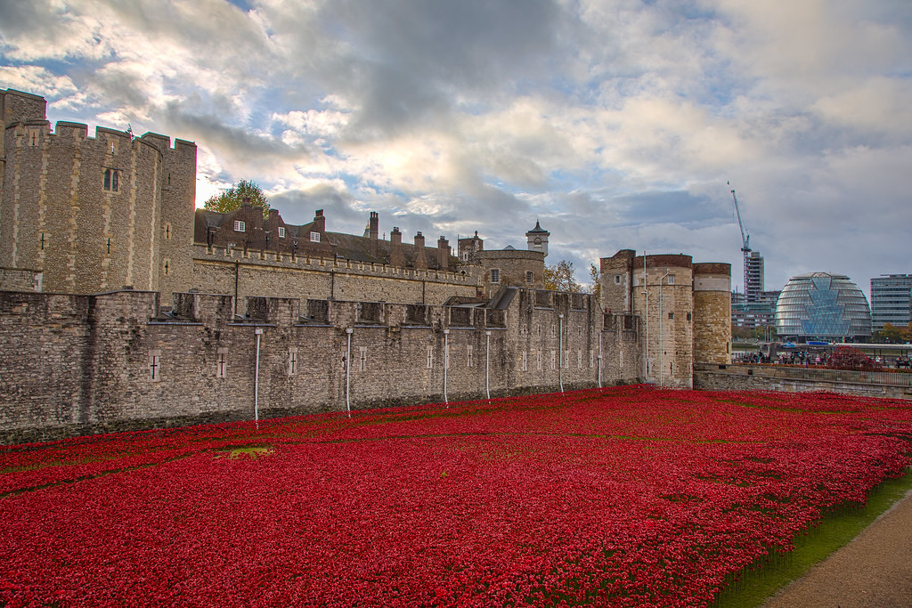 Tower of London Remembrance Display