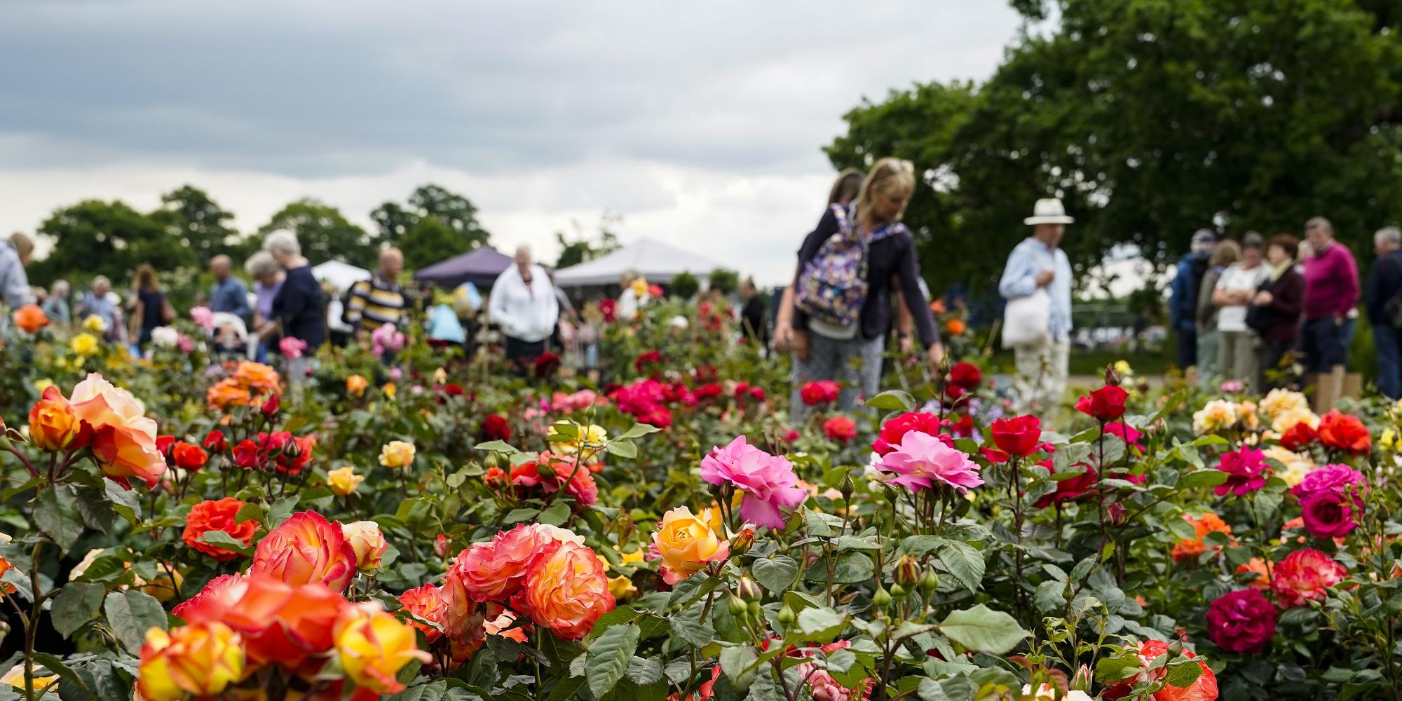 Blenheim Palace Flower Show 