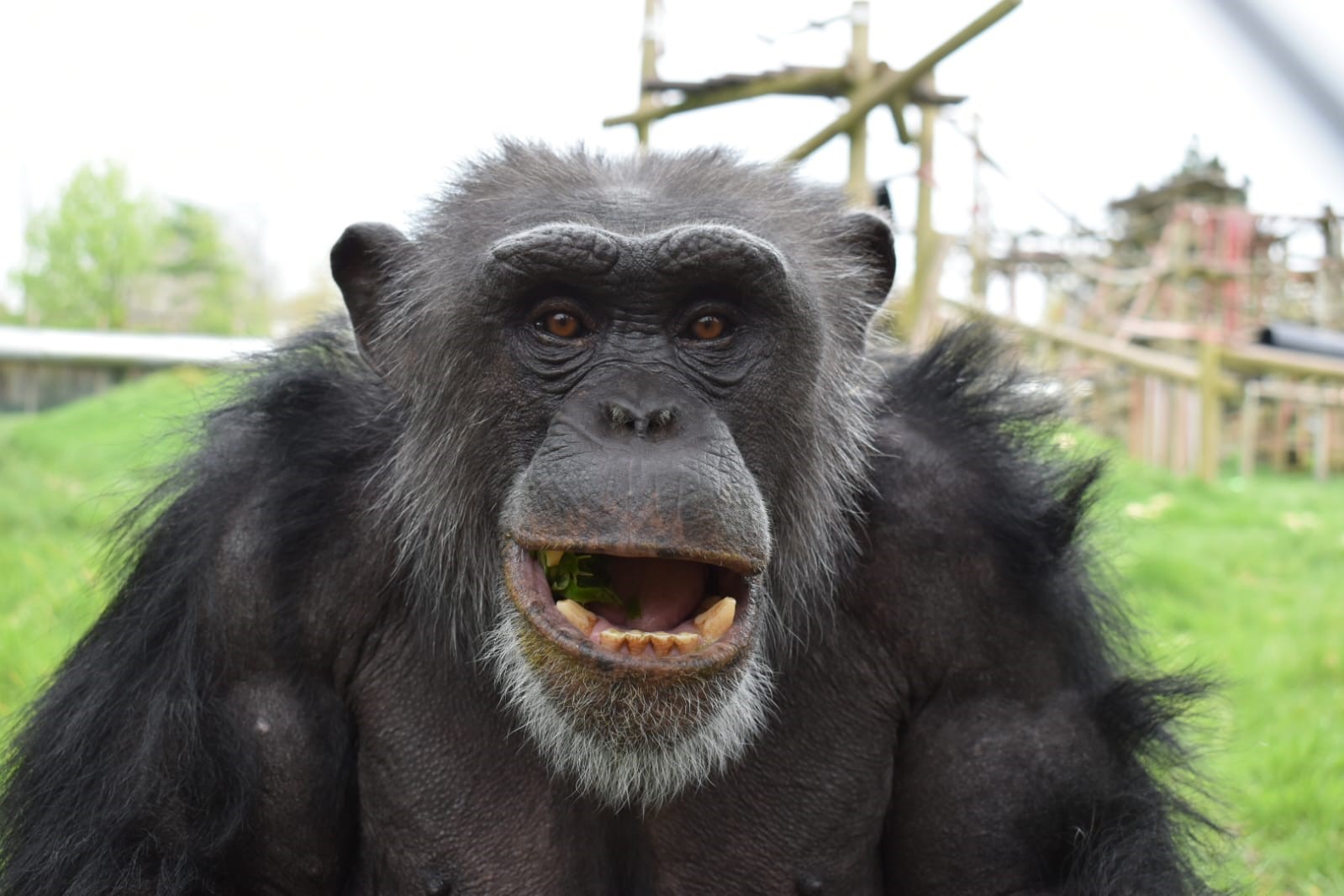 Monkey World, Bournemouth